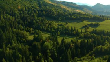 Dağlarda muhteşem bir sonbahar günü 