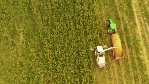 チェコでトウモロコシを収穫トラクターや農場機械 空中ショット — ストック動画