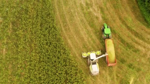 Trattori Macchine Agricole Che Raccolgono Mais Ceco Colpo Aereo — Video Stock