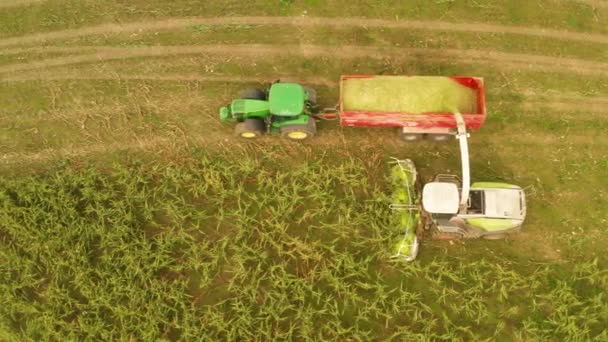 Tractoren Landbouw Machines Die Maïs Oogsten Het Tsjechisch Luchtfoto — Stockvideo