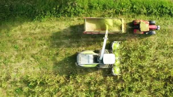 Traktory Maszyny Rolnicze Zbiorów Kukurydzy Czechach Aerial Shot — Wideo stockowe