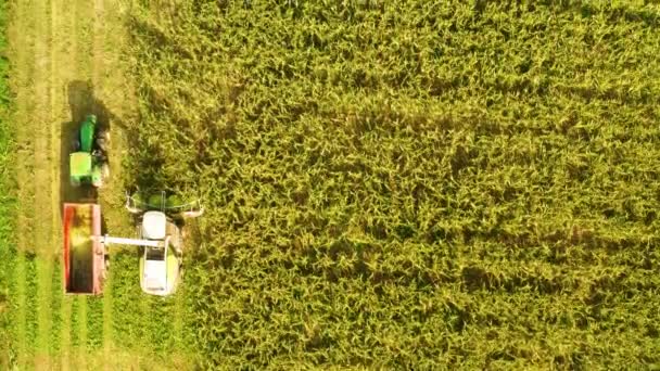 Tractores Máquinas Agrícolas Cosechando Maíz Checo Tiro Aéreo — Vídeos de Stock