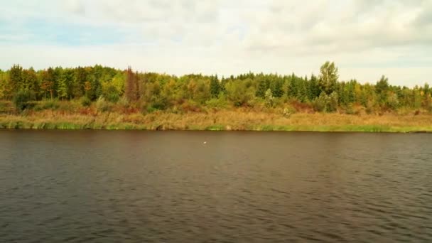 Nádherný Podzimní Den Leteckých Záběrech Jezera — Stock video