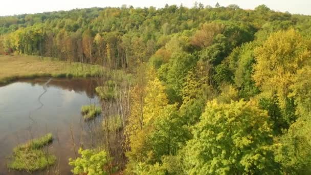 Hermoso Día Otoño Las Imágenes Aéreas Del Lago — Vídeos de Stock