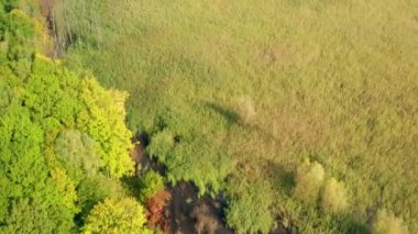 Göl görüntülerinde muhteşem bir sonbahar günü.