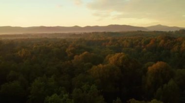 Güneşin doğuşu ve dağların arka planında güzel bir sonbahar ağacı ve sisin havadan çekimi.