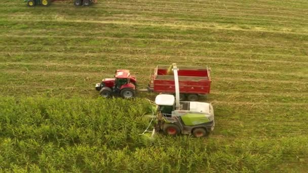 Trattori Macchine Agricole Che Raccolgono Mais Ceco Colpo Aereo — Video Stock