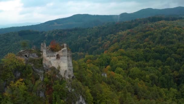 Ruínas Castelo Com Floresta Outono Imagens Aéreas — Vídeo de Stock