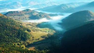 Sonbahar dağlarında ve sisli havada güzel renkli ağaçların görüntüsü.