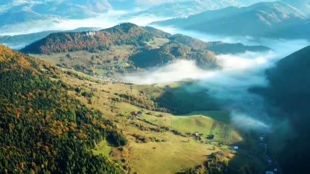 Strzał Powietrza Pięknie Kolorowych Drzew Jesiennych Górach Mgle — Wideo stockowe