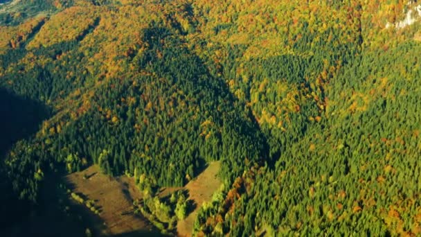 Aerial Shot Of beautifully colored trees in the mountains in autumn — Stock Footage Aerial Shot Beautifully Colored Trees Mountains Autumn Stock Footage
