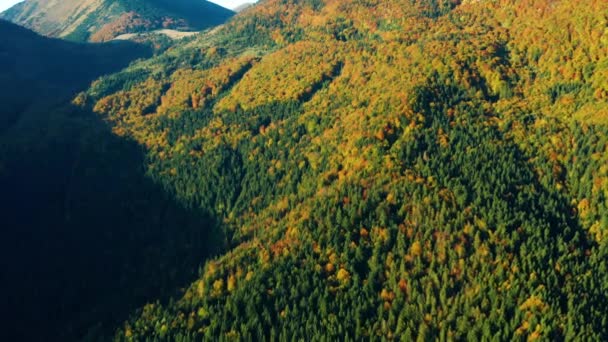 Εναέρια Shot Των Όμορφα Χρωματιστά Δέντρα Στα Βουνά Φθινόπωρο — Αρχείο Βίντεο