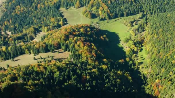 Tiro Aéreo Árvores Lindamente Coloridas Nas Montanhas Outono — Vídeo de Stock