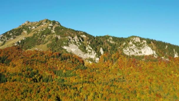 Tiro Aéreo Árvores Lindamente Coloridas Nas Montanhas Outono — Vídeo de Stock