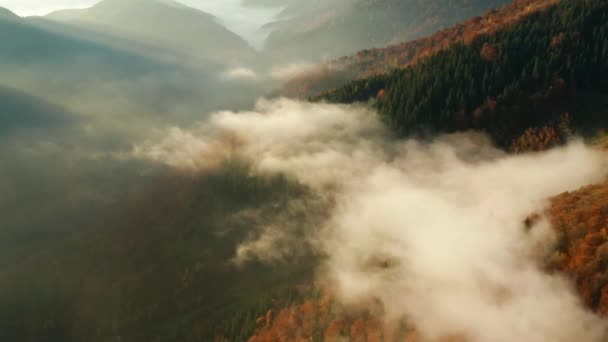 Névoa Manhã Está Rolando Entre Montanhas Sobre Árvores Coloridas Nas — Vídeo de Stock