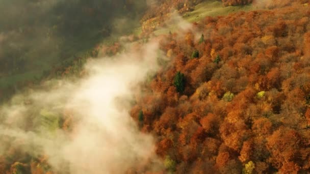 Poranna Mgła Toczy Się Między Górami Nad Drzewami Zabarwionymi Jesień — Wideo stockowe