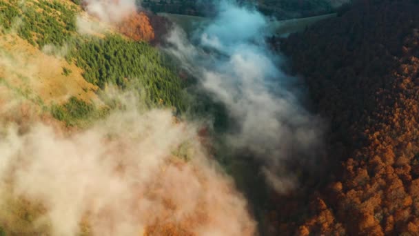 晨雾弥漫在群山之间 覆盖着五彩缤纷的树木 — 图库视频影像