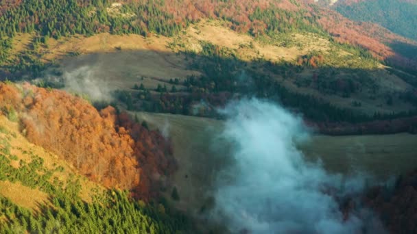 Πρωινή Ομίχλη Κυλά Ανάμεσα Βουνά Πάνω Από Δέντρα Χρωματισμένα Φθινοπωρινά — Αρχείο Βίντεο
