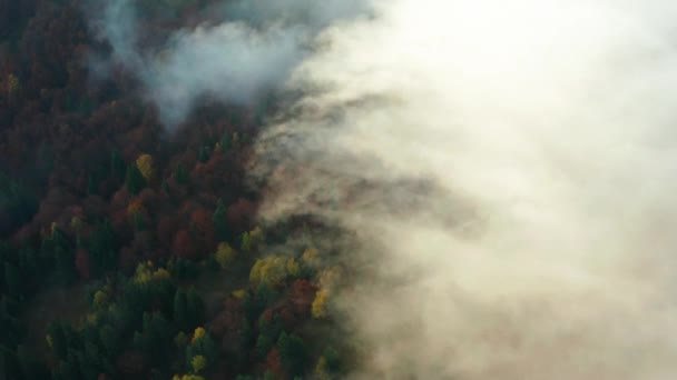 Morning Fog Rolling Mountains Trees Tinted Autumn Colors — Stock Video