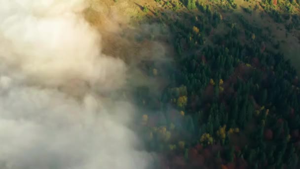 Ранок Туман Котиться Між Горами Над Деревами Тонованими Осінніми Кольорами — стокове відео