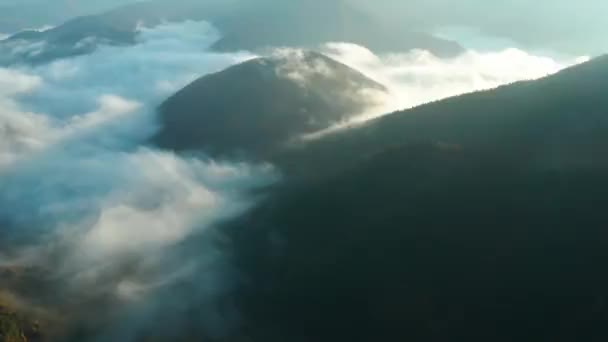 Névoa Manhã Está Rolando Entre Montanhas Sobre Árvores Coloridas Nas — Vídeo de Stock