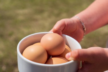 Küçük kız elinde kaseyle dışarıda yumurtalarını tutuyor.