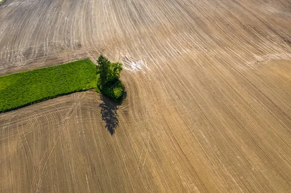 Paysage Des Champs Vue Aérienne Chemin Terre Champ Est Labouré — Photo