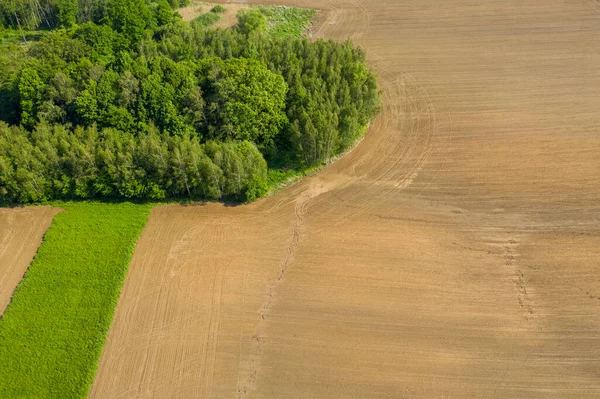 Landscape of fields. Aerial view. Dirt road. The field is plowed and the field is sown, aurope czech