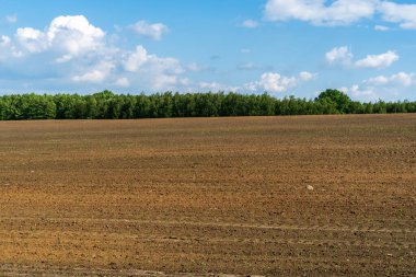 Kahverengi ve yeşil tarlalı bahar kırsal manzarası, inanılmaz mavi gökyüzü ve beyaz bulutlar. Saf doğa, taze renkler, inanılmaz sıcak bir bahar günü. Tarım alanı yeni sezon için hazırlandı.