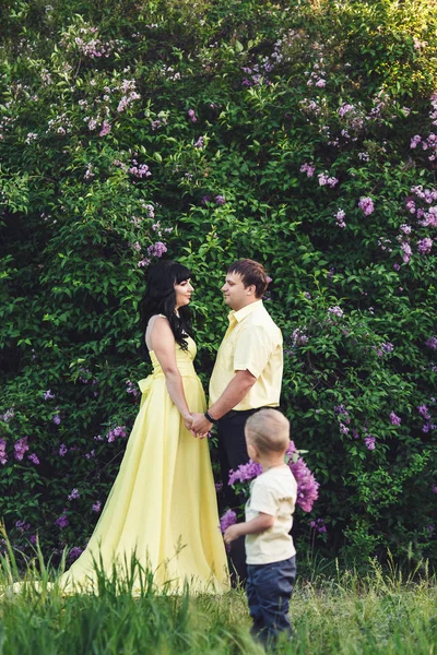 Parkta blooming Lila ile mutlu bir aile. Anne, baba ve oğlu mutlu gün batımında yürümek. Mutlu aile kavramı.