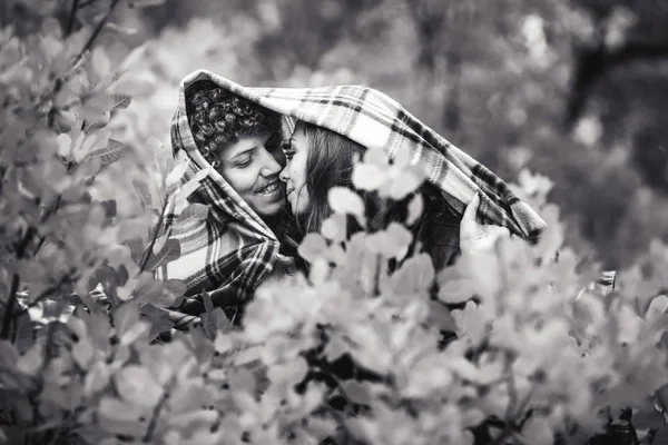 Felice allegra coppia si nasconde dietro plaid autunno giorno — Foto Stock