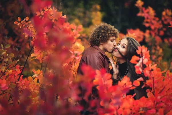 陽気なカップルがいたずらと秋の赤いツリー間の感情を示しています。縮れ毛の口ひげを生やした男の接吻および彼女の髪の女の子は口ひげ. — ストック写真