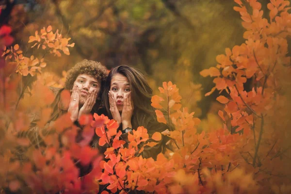 Rizado chico y chica hacer divertido caras con sus propias manos entre los arbustos de otoño . — Foto de Stock