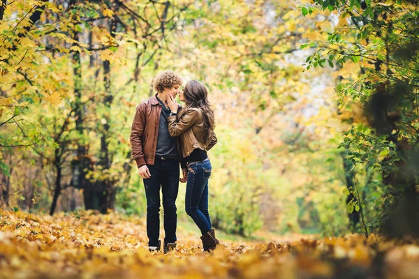 Αγάπη ζευγάρι φιλί μεταξύ όμορφη φθινοπωρινή σφεντάμια. — Φωτογραφία Αρχείου