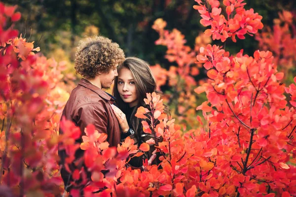 爱美丽的情侣在颤抖的拥抱在红色秋天树之间. — 图库照片