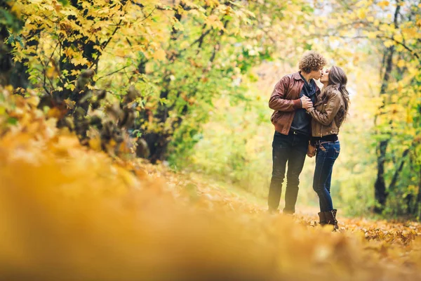 Liebespaar küsst sich inmitten schöner Herbst-Ahorne. — Stockfoto