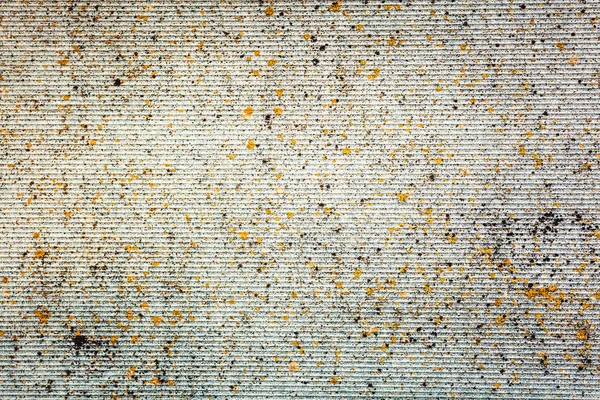 Vieux mur gris recouvert de champignons et de moisissures . — Photo