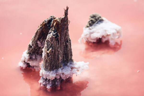 Wooden piles sticking out from pink lake of salt plant.