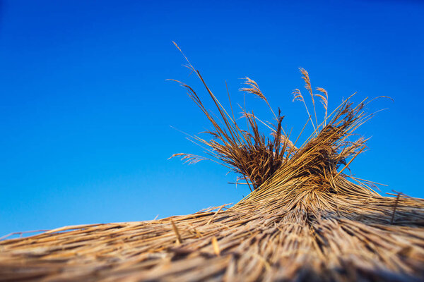 зонтик на голубом фоне неба
.