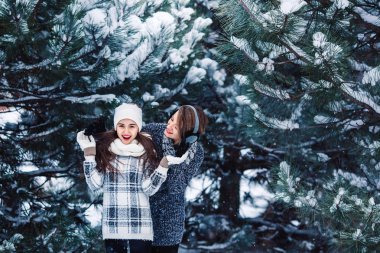 Anne ve kızı var kış orman oynayan eğlenceli.