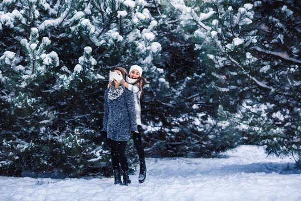 Mother and daughter have fun playing in the winter forest. — Stock Photo, Image