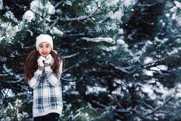 Stylish cheerful girl in a sweater in the winter forest. — Stock Photo, Image