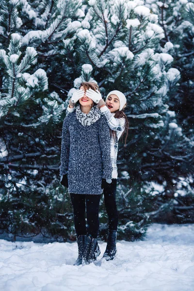 Moeder en dochter hebben plezier spelen in het bos van de winter. — Stockfoto