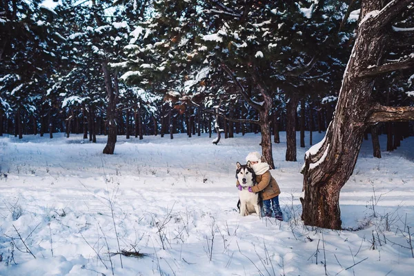 Graciosa niñita abrazando a su gran perro Malamute en invierno en el bosque . —  Fotos de Stock