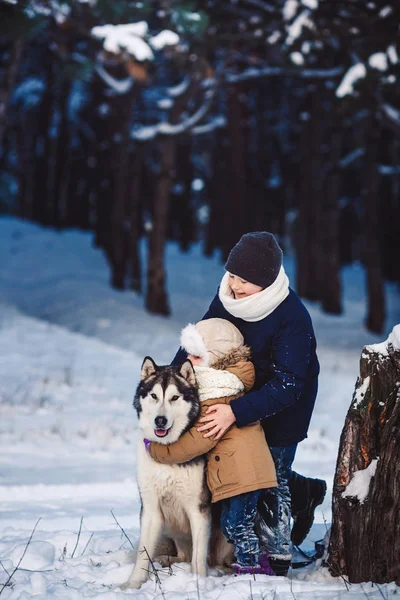 Веселий маленький хлопчик і дівчинка стоять зі своїм великим собакою взимку біля кривого дерева в лісі . — стокове фото