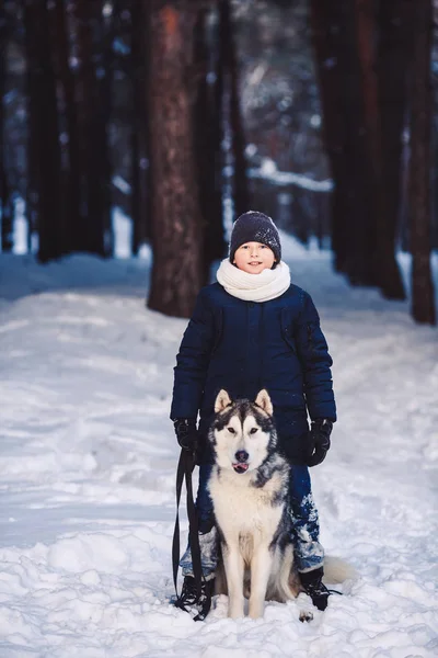 Souriant garçon caucasien et son gros chien en hiver dans une forêt. Le concept des vacances d'hiver — Photo