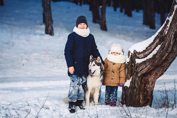 Cheerful little boy and girl are standing with their big dog in the winter near a crooked tree in the forest. — Stock Photo, Image