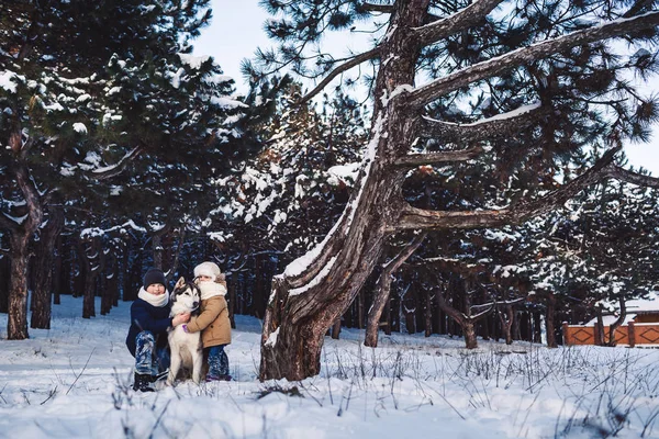 Cheerful little boy and girl are standing with their big dog in the winter near a crooked tree in the forest. — Stock Photo, Image