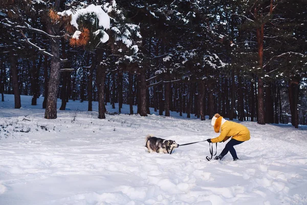 Hermosa joven divertida jugando con su perro en invierno en el parque —  Fotos de Stock