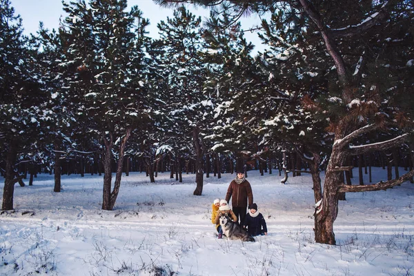 愉快的欧洲年轻的家庭与大狗摆姿势反对冬天松树林. — 图库照片